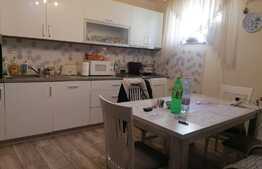 Casa individuala, 185 mp utili, 1185 mp teren, Zimandu Nou