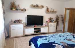 Casa individuala, 185 mp utili, 1185 mp teren, Zimandu Nou