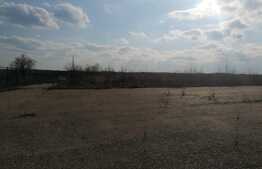 Teren intravilan de 7900 mp, 2000 mp betonati, acces tir, Fantanele