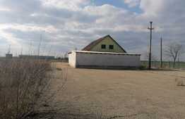 Teren intravilan de 7900 mp, 2000 mp betonati, acces tir, Fantanele