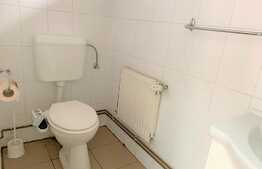 Spatiu comercial open space, 150 mp, zona Centrala