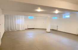 Spatiu comercial open space, 150 mp, zona Centrala