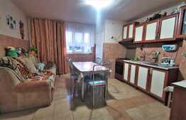Apartament 2 camere, demisol, curte, 45 mp, zona Adora Park, Cocorilor