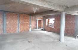 Casa la rosu, 450 mp utili, 1000 mp teren, Macea