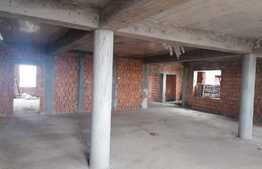 Casa la rosu, 450 mp utili, 1000 mp teren, Macea