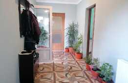 Casa individuala, 97 mp utili, 250 mp teren, Vladimirescu