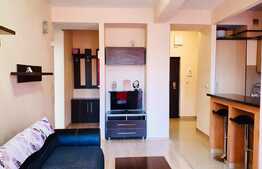 Apartament la cheie, 70mp, zona Uta