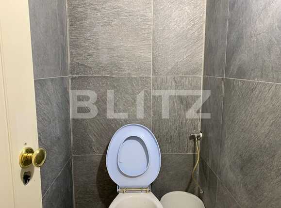 Spațiu comercial de închiriat Central - 85182SIC | BLITZ Arad | Poza3