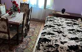 Casa 150 mp utili, doua corpuri, teren 1439 mp, Gurba