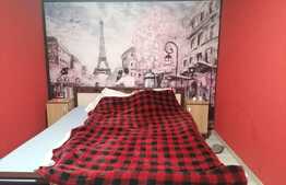 Casa 90 mp utili, Aradul Nou