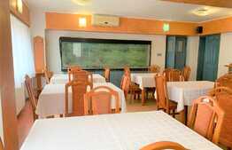 Hotel de inchiriat proaspat renovat, P+2+M, zona Centrala