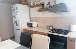 Casa 4 camere, 140 mp utili, teren 403 mp, Pecica