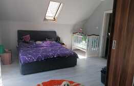 Casa 4 camere, 140 mp utili, teren 403 mp, Pecica