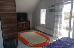 Casa 4 camere, 140 mp utili, teren 403 mp, Pecica