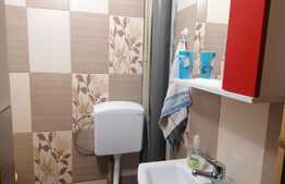 Casa 4 camere, 140 mp utili, teren 403 mp, Pecica