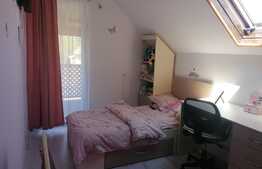 Casa 4 camere, 140 mp utili, teren 403 mp, Pecica