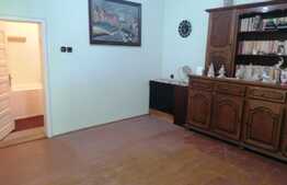 Urgent! Casa 3 camere, 1762 mp teren, zona Guttenbrunn, Aradul Nou