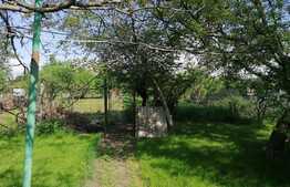 Urgent! Casa 3 camere, 1762 mp teren, zona Guttenbrunn, Aradul Nou