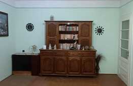 Urgent! Casa 3 camere, 1762 mp teren, zona Guttenbrunn, Aradul Nou