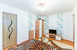 Apartament 2 camere, bloc nou, parter, 34 mp utili, Parneava