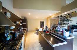 Casa cu piscina, 501 mp utili, 864 mp teren, Central Arad