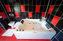 Casa cu piscina, 501 mp utili, 864 mp teren, Central Arad