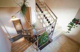 Casa cu piscina, 501 mp utili, 864 mp teren, Central Arad