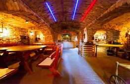 Casa cu piscina, 501 mp utili, 864 mp teren, Central Arad