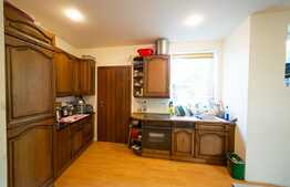 Casa cu piscina, 501 mp utili, 864 mp teren, Central Arad