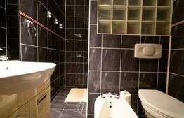 Casa cu piscina, 501 mp utili, 864 mp teren, Central Arad