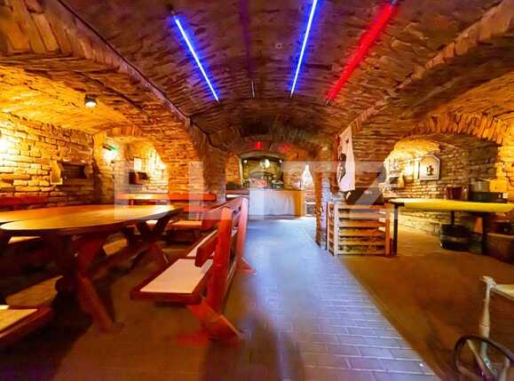 Casa de vânzare 8 camere Central - 86475CV | BLITZ Arad | Poza14