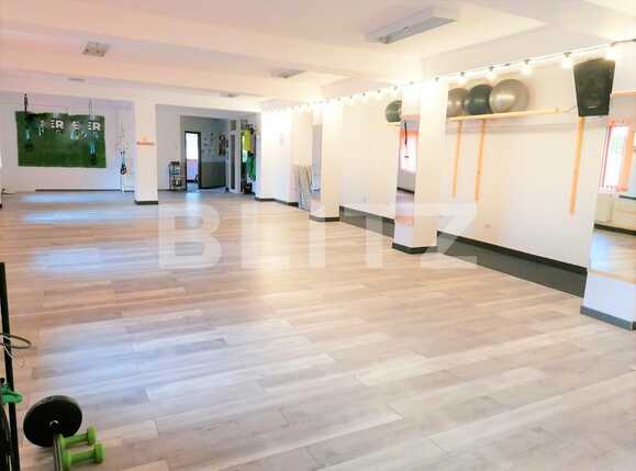 Spațiu comercial de închiriat Boul Rosu - 86505SIC | BLITZ Arad | Poza1