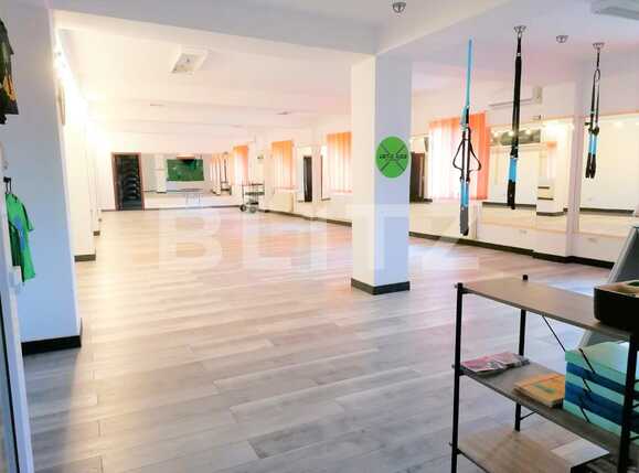 Spațiu comercial de închiriat Boul Rosu - 86505SIC | BLITZ Arad | Poza2