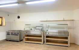 Spatiu comercial spatios, 200mp, zona Boul Rosu