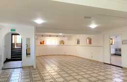 Spatiu comercial spatios, 200mp, zona Boul Rosu