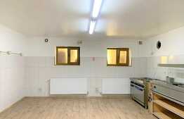 Spatiu comercial spatios, 200mp, zona Boul Rosu