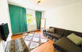 Apartament cochet 1 camera, decomandat, 41mp utili, zona Uta/Cocorilor