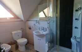 Casa de vacanta, 7 camere, teren 1568 mp, Muntii Zarandului