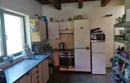 Casa de vacanta, 7 camere, teren 1568 mp, Muntii Zarandului