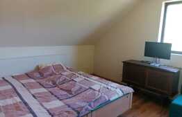 Casa de vacanta, 7 camere, teren 1568 mp, Muntii Zarandului