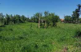 Teren intravilan 1644 mp, front stradal 25 ml, Tăgădău