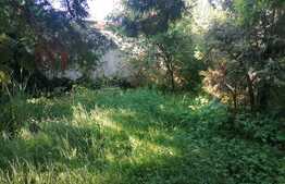 Casa 120 mp utili, teren 587 mp, Drăgăsani