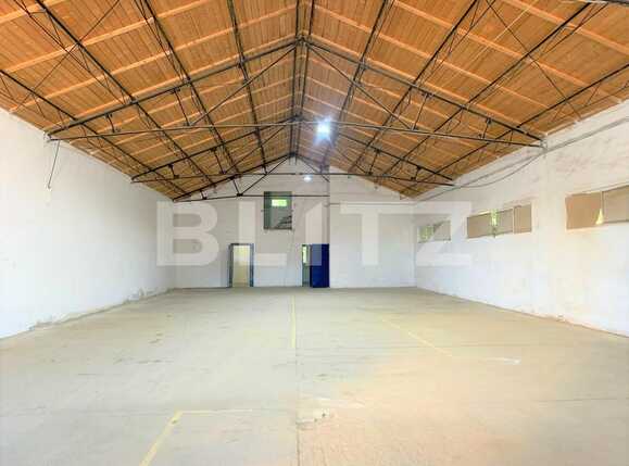 Spațiu industrial de închiriat Sud - 87062SII | BLITZ Arad | Poza1