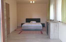 Duplex 210 mp, 8 camere, zona centrala Arad