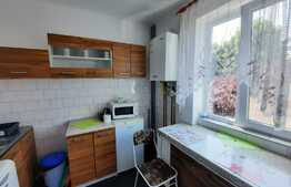 Apartament de 1 camere, 35 mp, decomandat, zona Podgoria