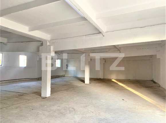 Spațiu industrial de închiriat Exterior Est - 87734SII | BLITZ Arad | Poza3
