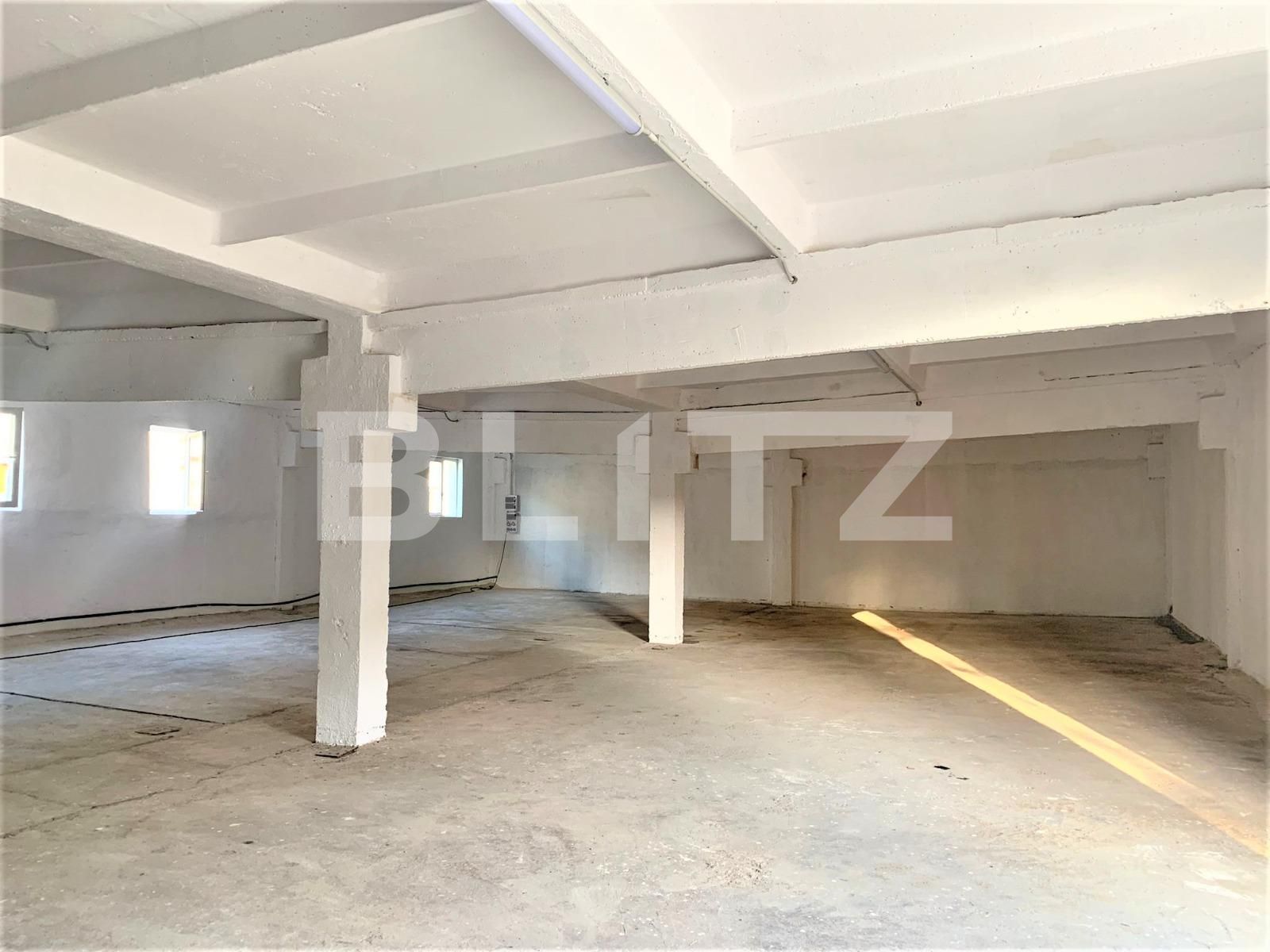 Spațiu industrial de închiriat Exterior Est - 87734SII | BLITZ Arad | Poza3