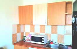 Garsoniera 17 mp, mobilat si utilat, etaj intermediar, zona Uta