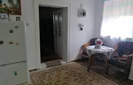 Casa, 130 mp, teren 2910 mp, Santana