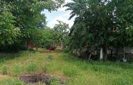 Casa, 130 mp, teren 2910 mp, Santana